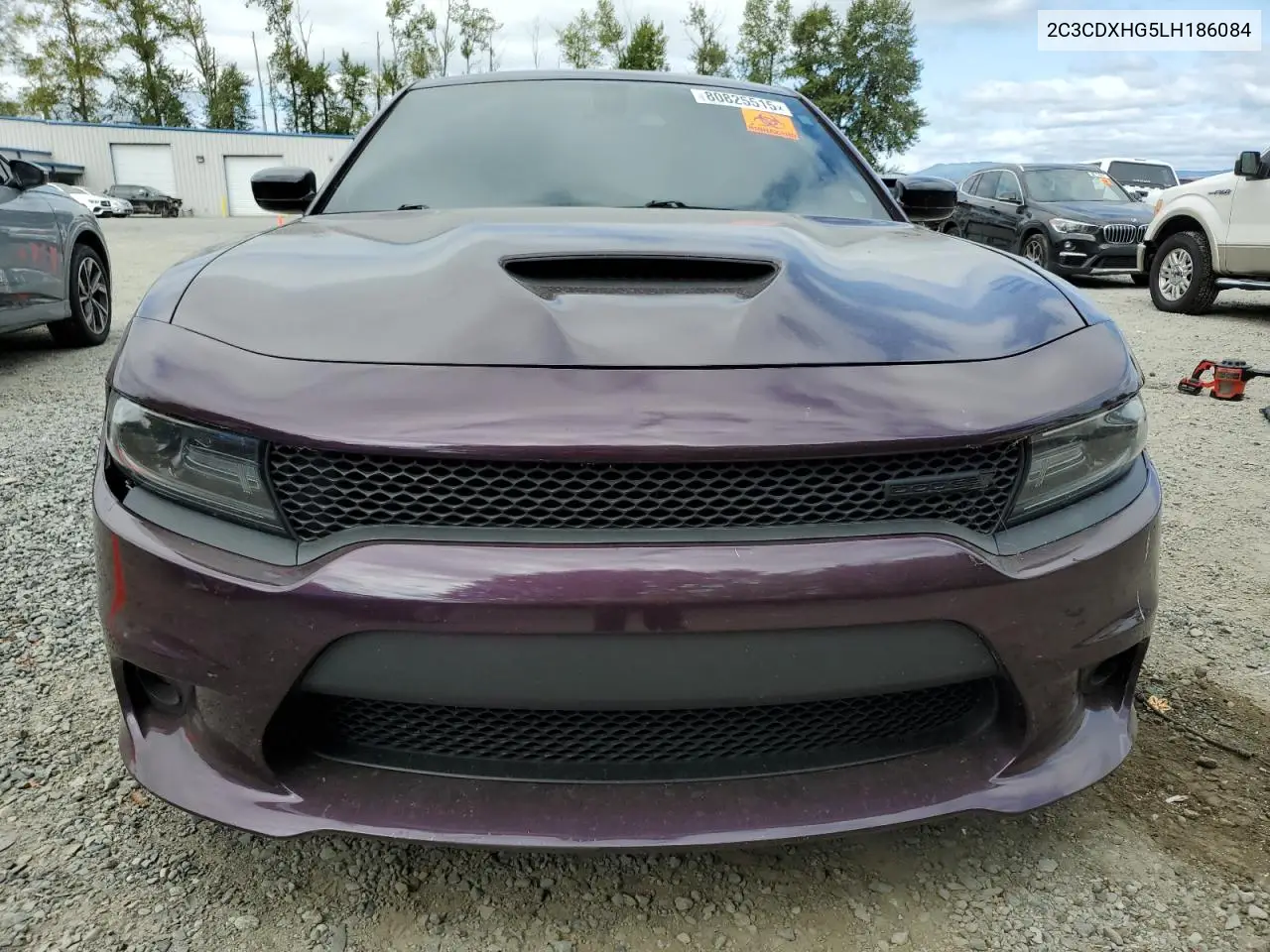 2C3CDXHG5LH186084 2020 Dodge Charger Gt