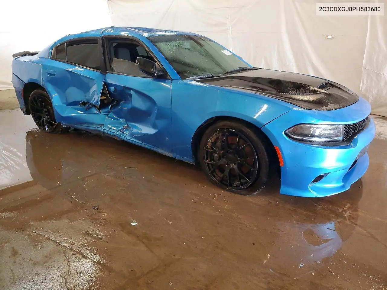 2023 Dodge Charger Scat Pack VIN: 2C3CDXGJ8PH583680 Lot: 52428816
