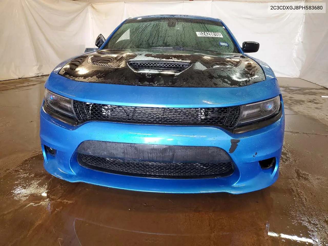 2023 Dodge Charger Scat Pack VIN: 2C3CDXGJ8PH583680 Lot: 52428816