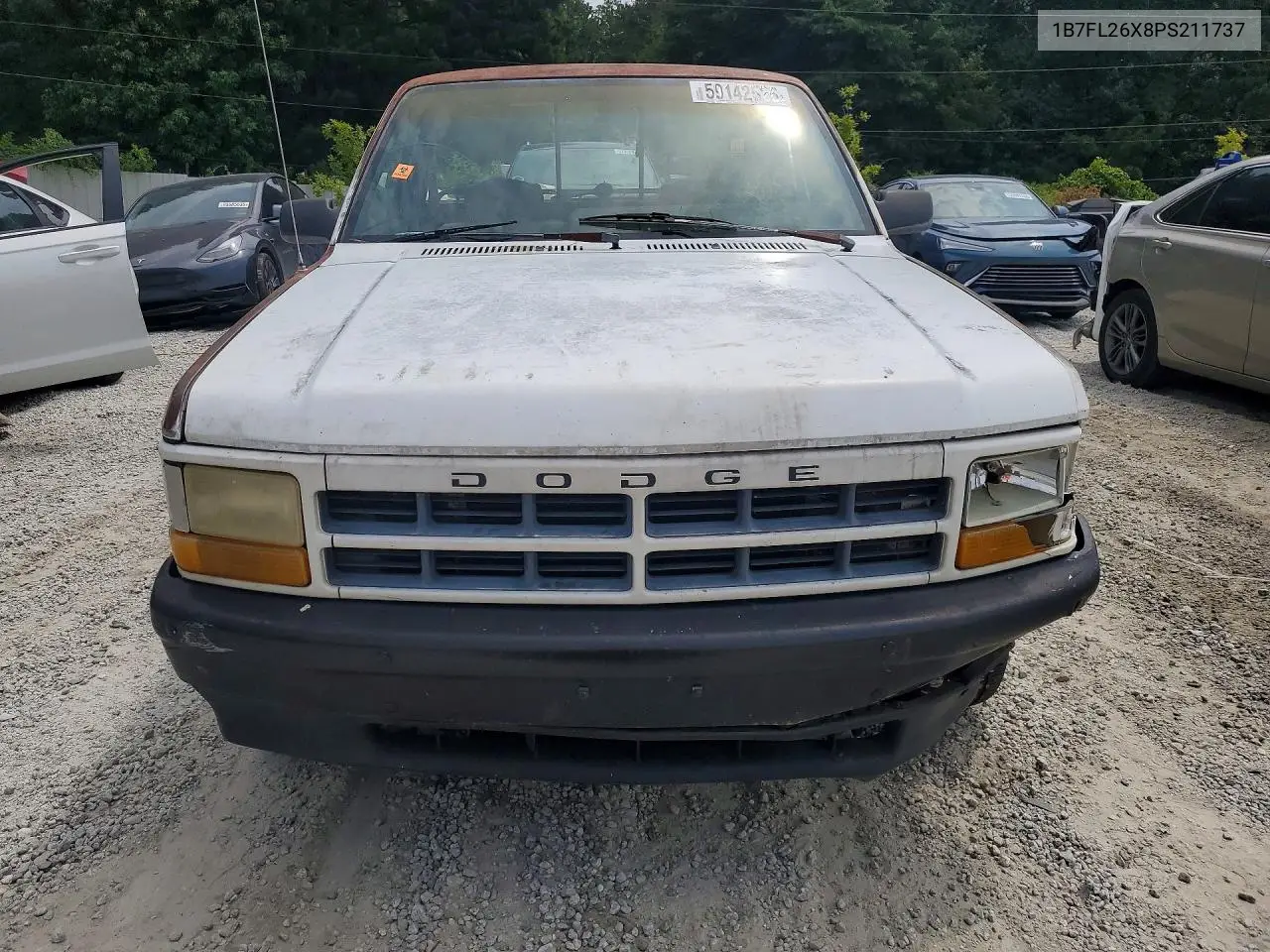 1993 Dodge Dakota VIN: 1B7FL26X8PS211737 Lot: 59142526