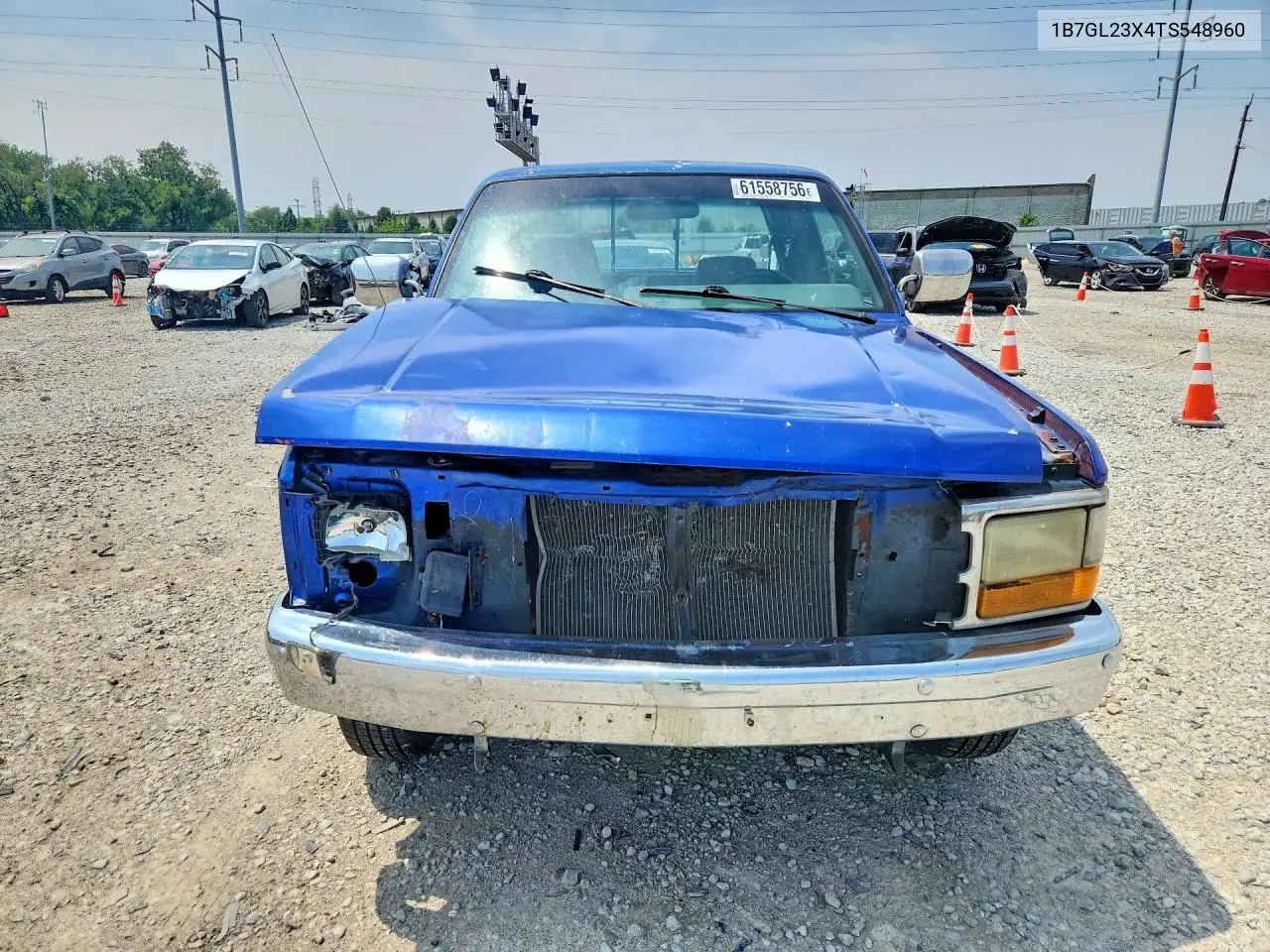 1996 Dodge Dakota VIN: 1B7GL23X4TS548960 Lot: 61558756