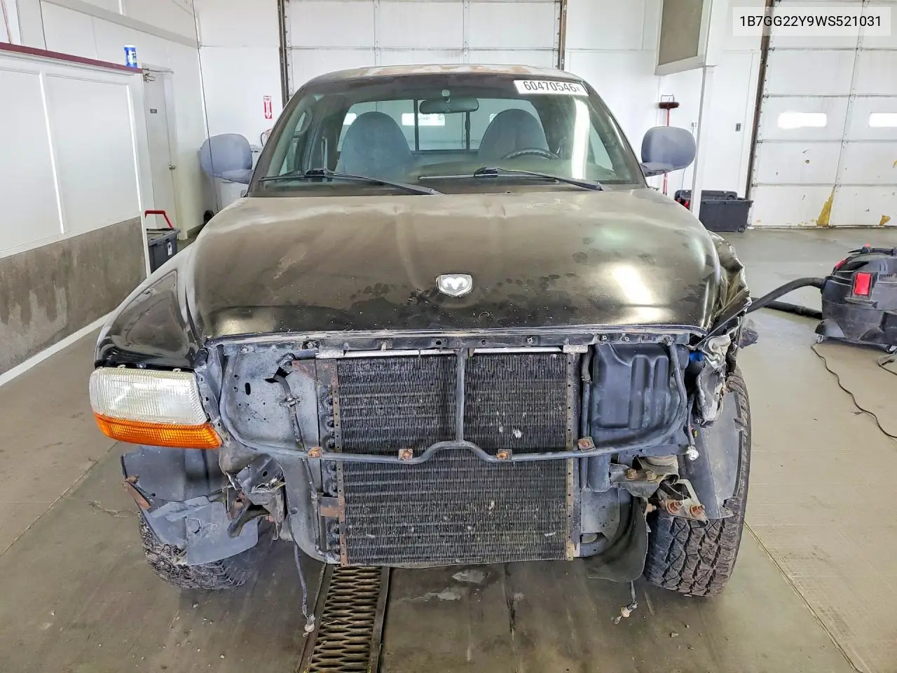 1998 Dodge Dakota VIN: 1B7GG22Y9WS521031 Lot: 60470546