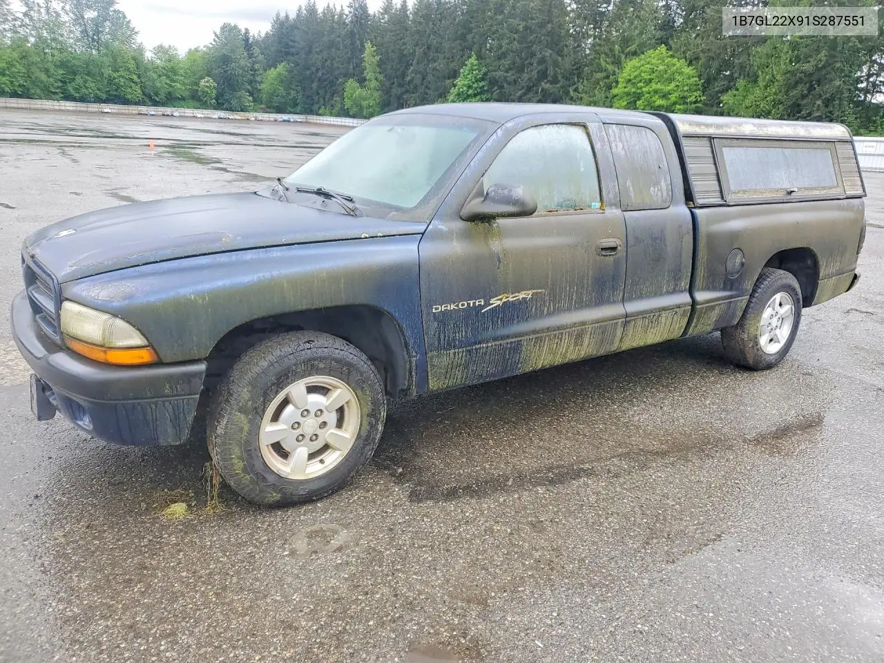 2001 Dodge Dakota VIN: 1B7GL22X91S287551 Lot: 54012206
