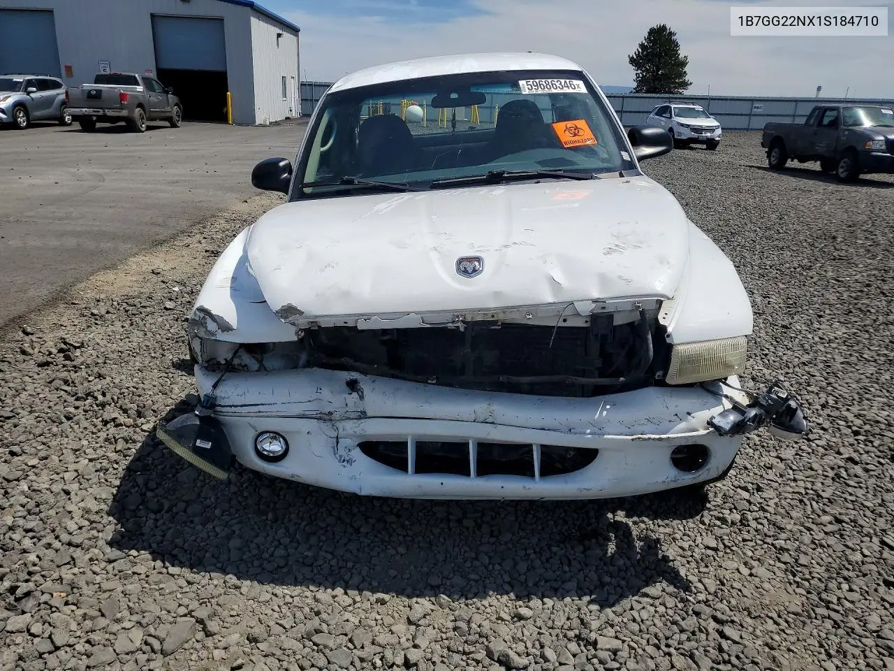 2001 Dodge Dakota VIN: 1B7GG22NX1S184710 Lot: 59686346