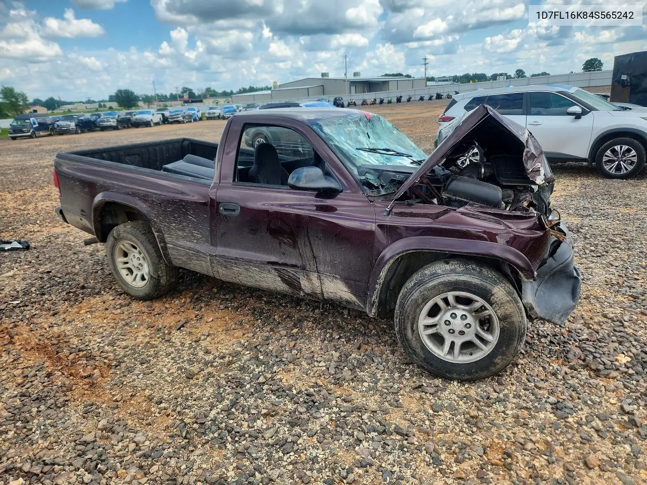2004 Dodge Dakota Sxt VIN: 1D7FL16K84S565242 Lot: 59914366
