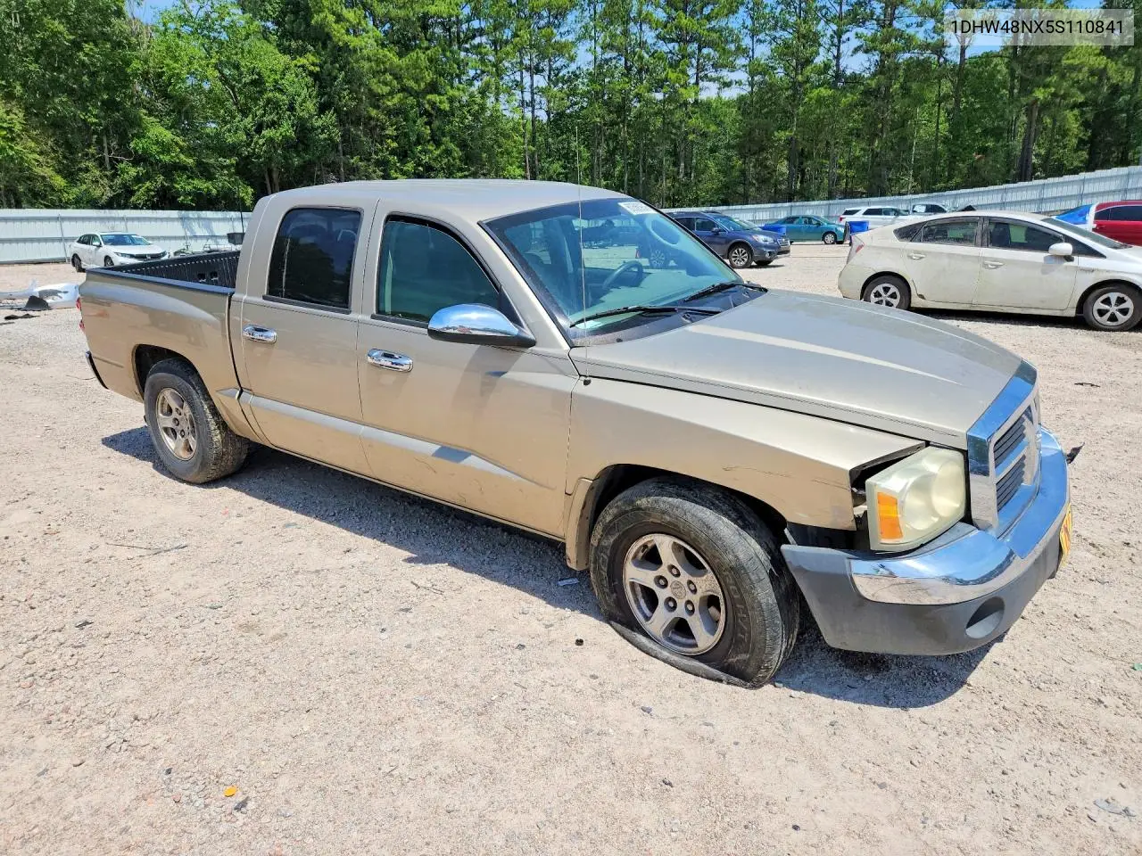 2005 Dodge Dakota VIN: 1D7HW48NX5S110841 Lot: 60560956