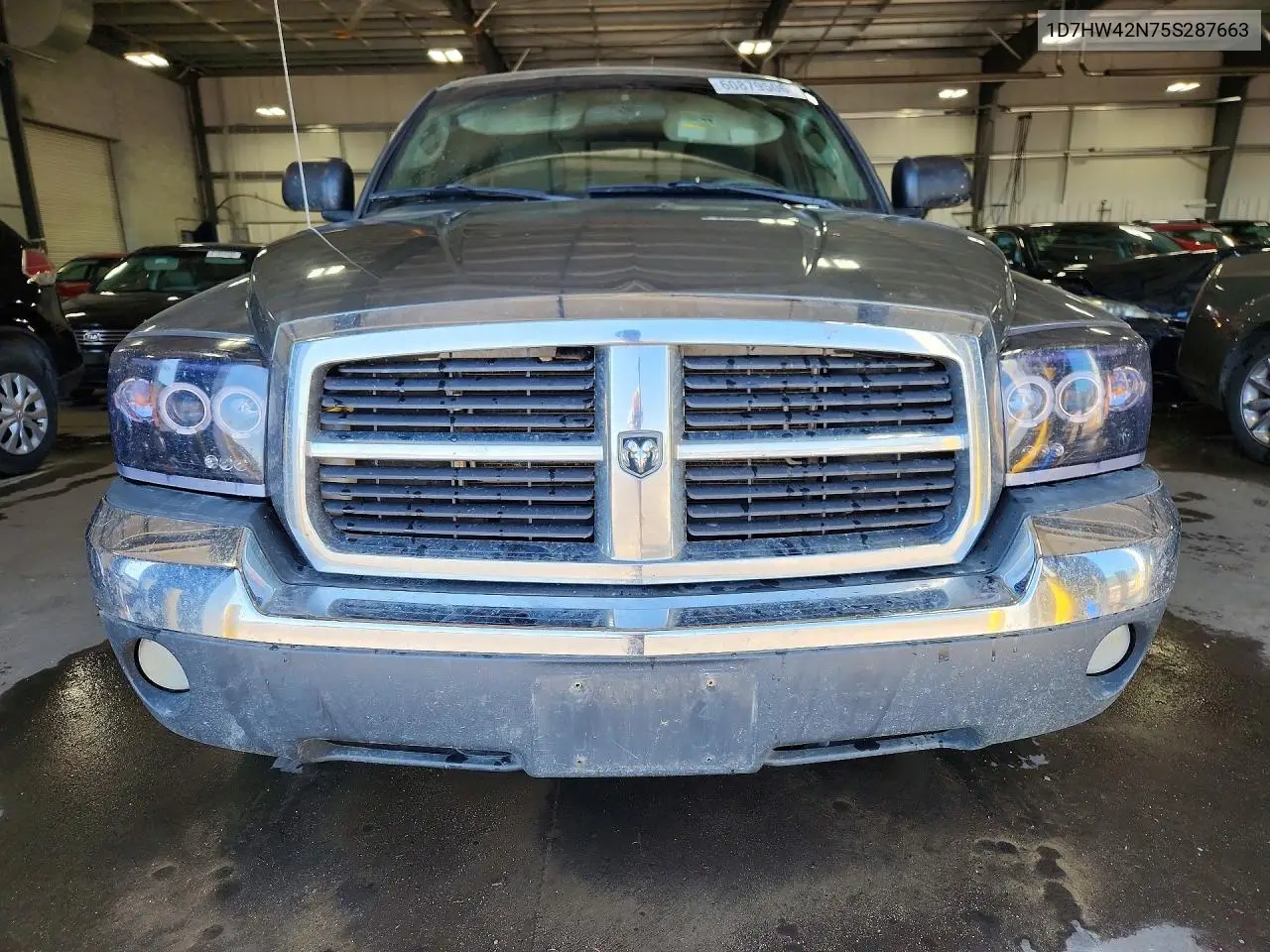 2005 Dodge Dakota Slt VIN: 1D7HW42N75S287663 Lot: 60879506