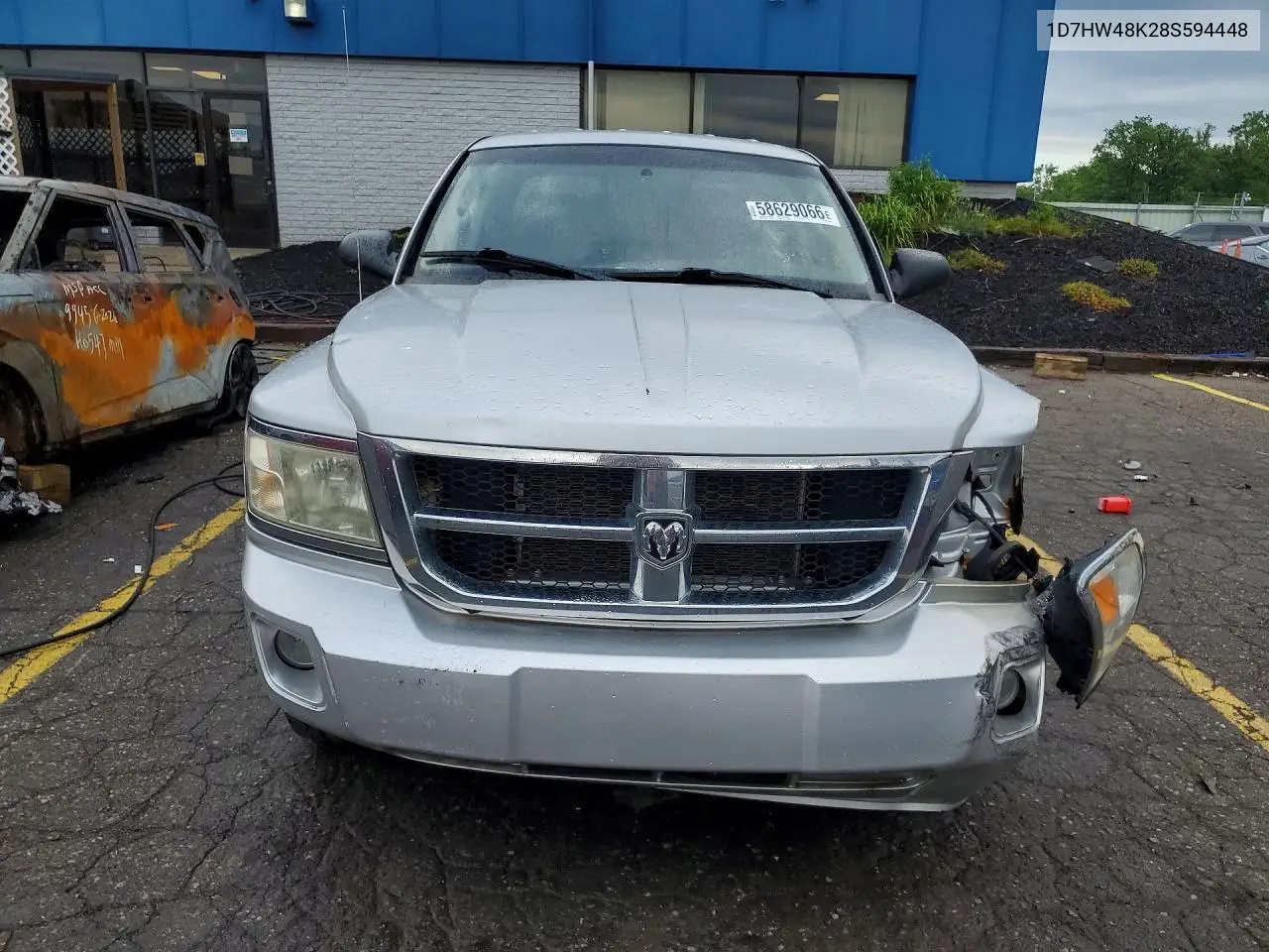 2008 Dodge Dakota Quad Slt VIN: 1D7HW48K28S594448 Lot: 58629066