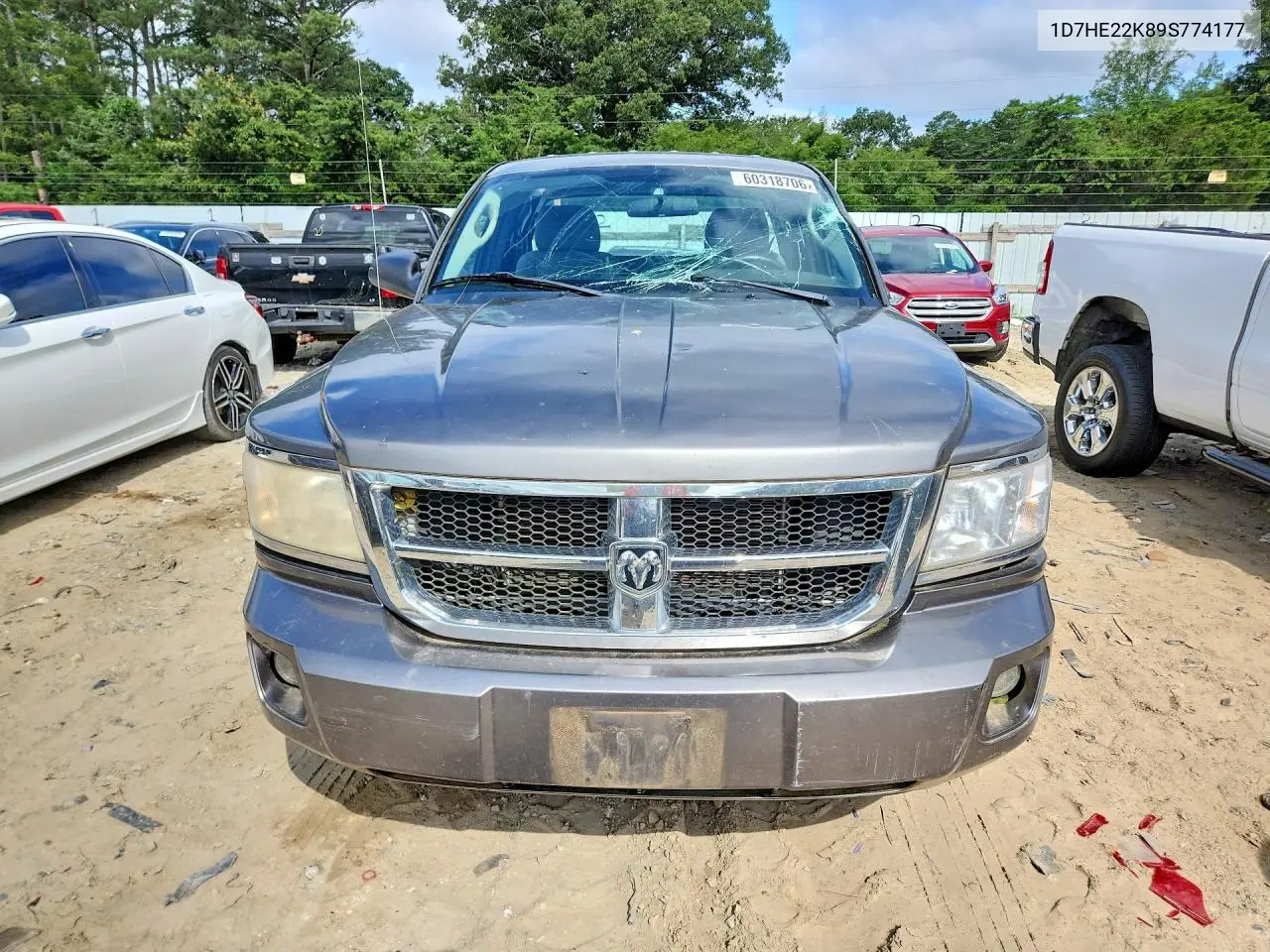 2009 Dodge Dakota St VIN: 1D7HE22K89S774177 Lot: 60318706