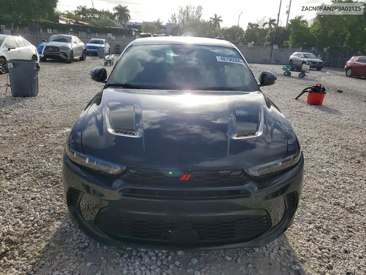 2023 Dodge Hornet Gt VIN: ZACNDFAN2P3A02125 Lot: 48796566