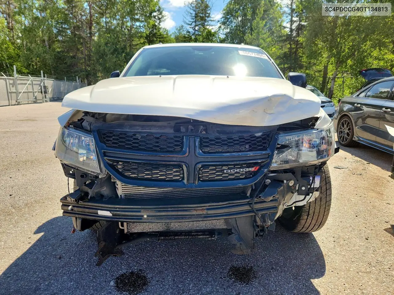 2016 Dodge Journey Sxt VIN: 3C4PDCCG4GT134813 Lot: 56677406