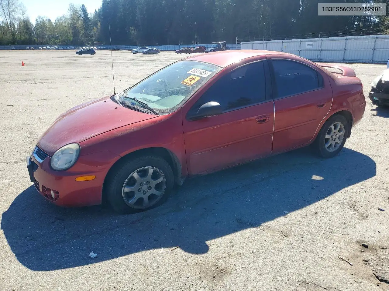 2003 Dodge Neon Sxt VIN: 1B3ES56C63D252901 Lot: 49311056