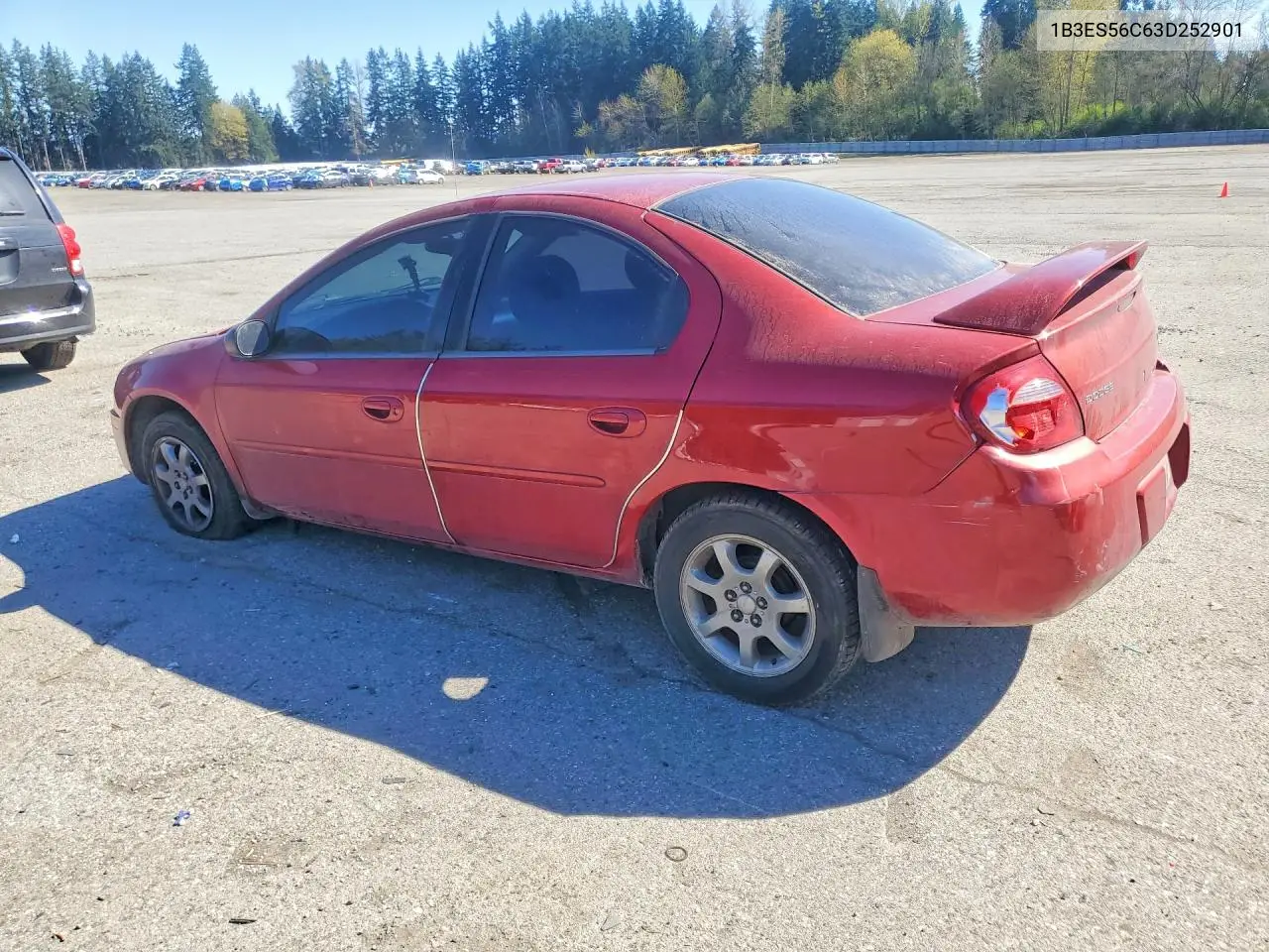 2003 Dodge Neon Sxt VIN: 1B3ES56C63D252901 Lot: 49311056