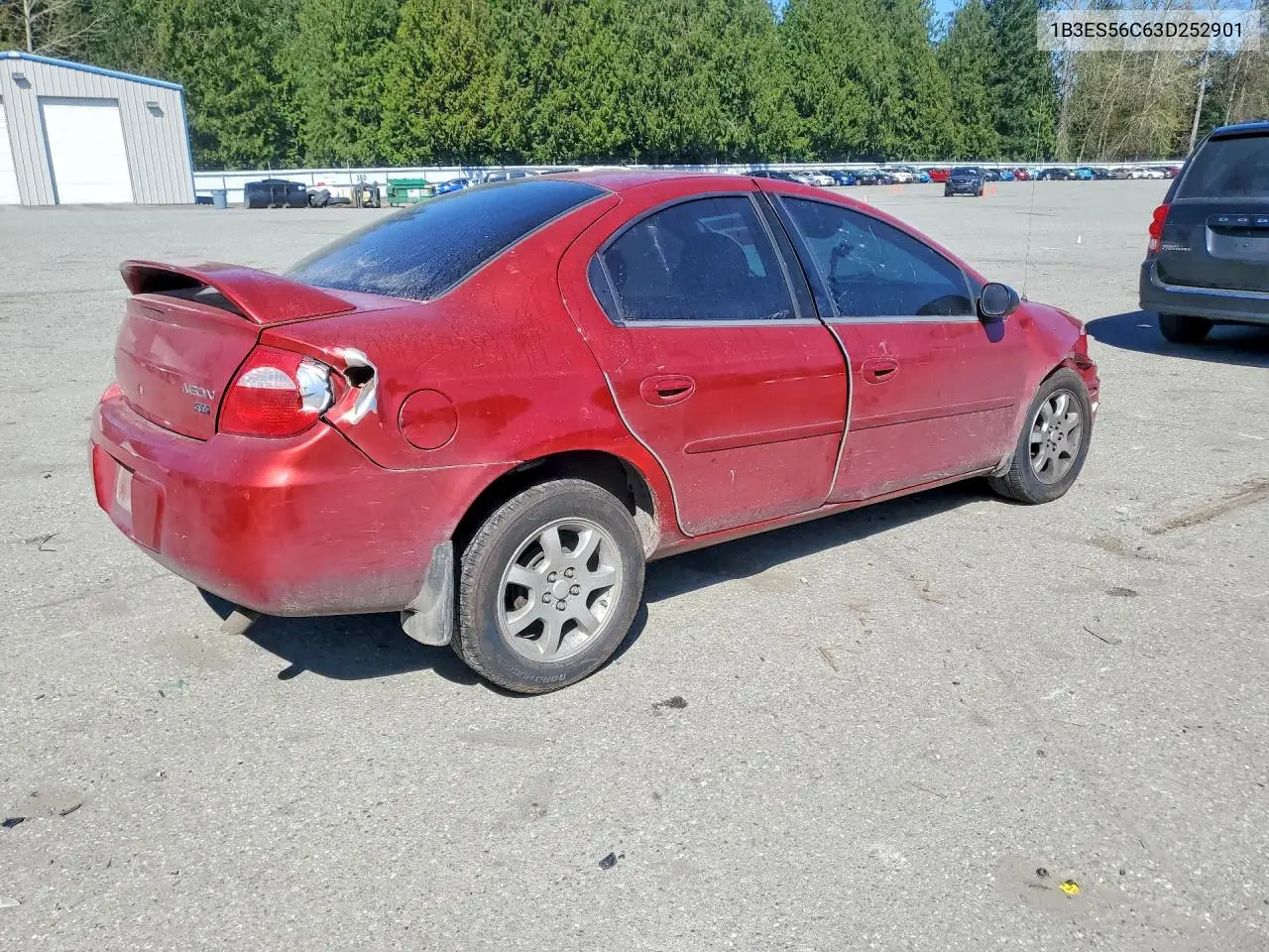 2003 Dodge Neon Sxt VIN: 1B3ES56C63D252901 Lot: 49311056
