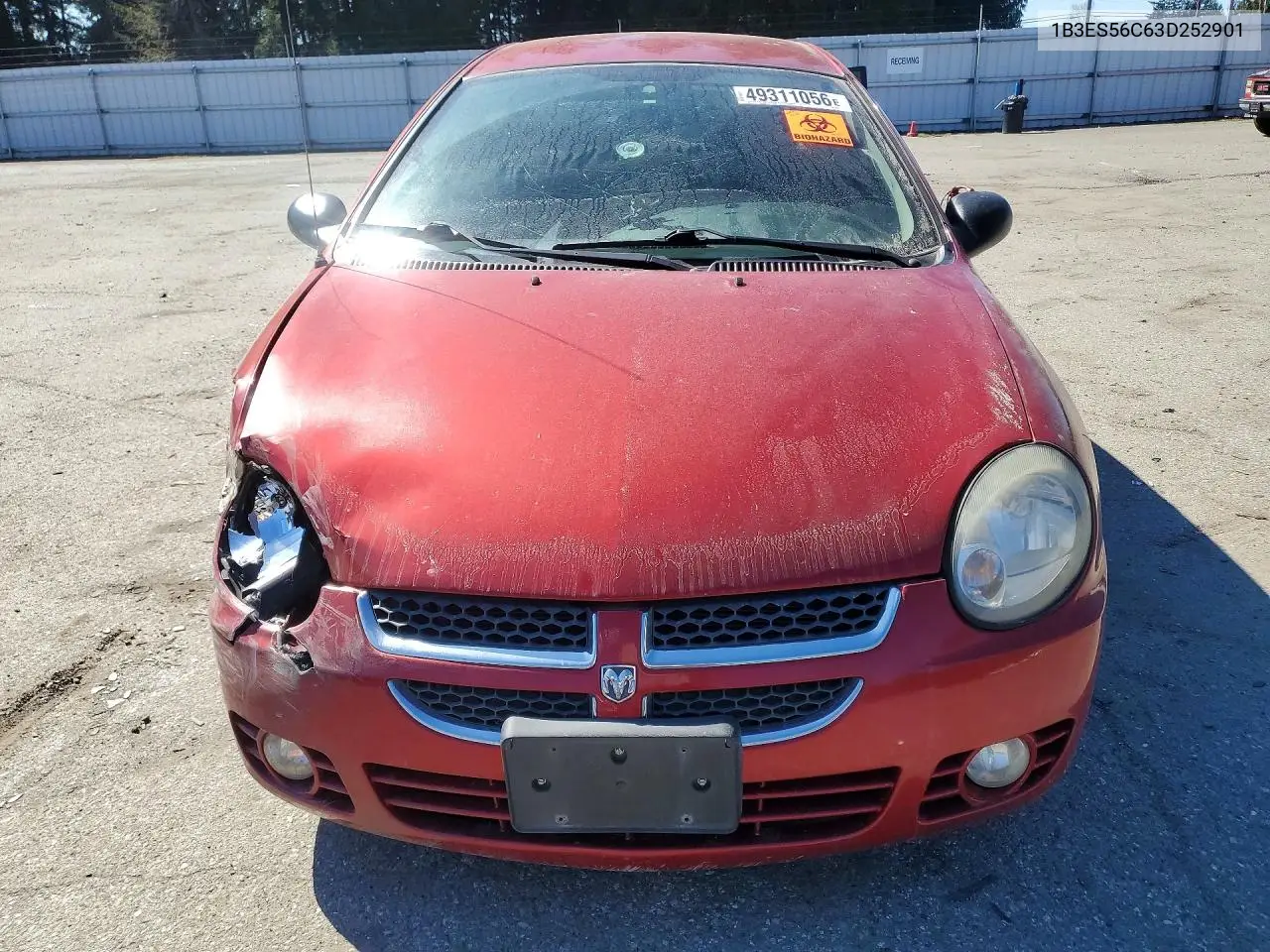 2003 Dodge Neon Sxt VIN: 1B3ES56C63D252901 Lot: 49311056