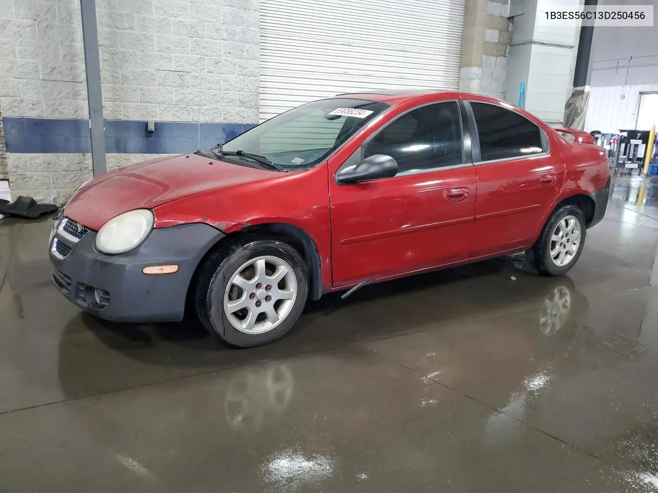 2003 Dodge Neon Sxt VIN: 1B3ES56C13D250456 Lot: 69058234