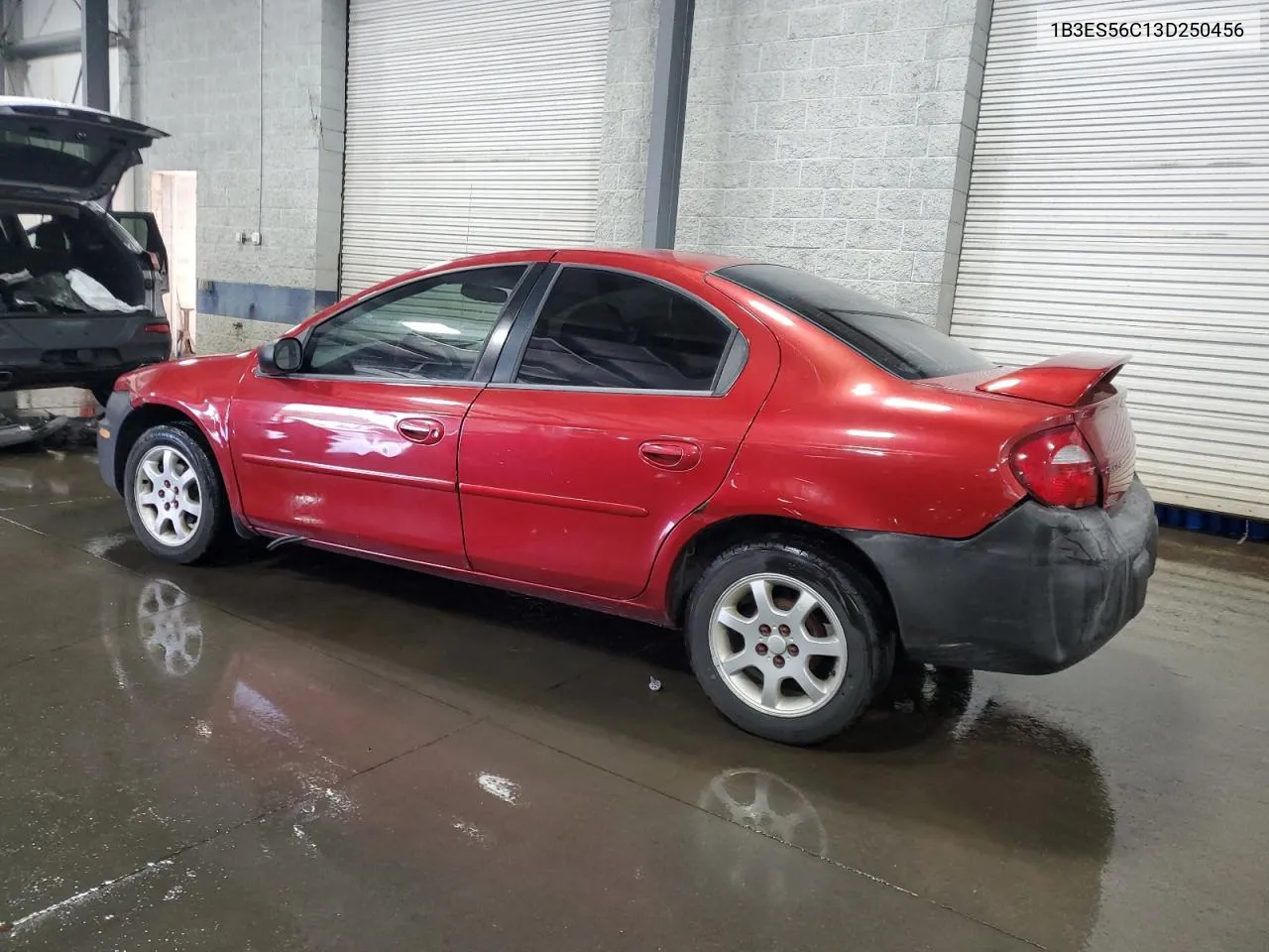 2003 Dodge Neon Sxt VIN: 1B3ES56C13D250456 Lot: 69058234