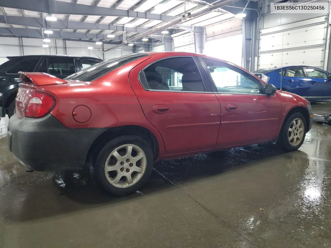 2003 Dodge Neon Sxt VIN: 1B3ES56C13D250456 Lot: 69058234