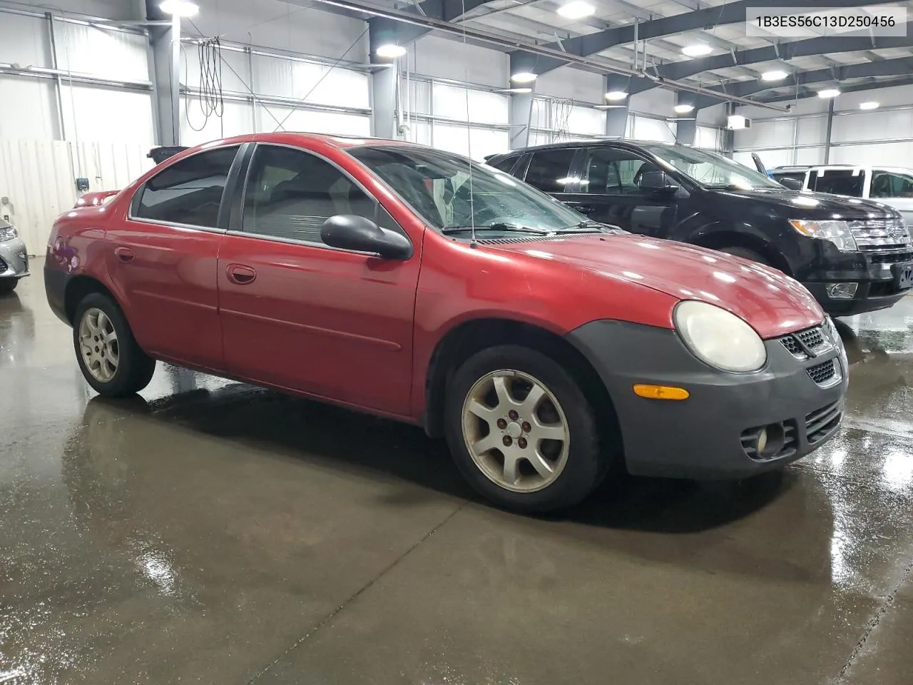 2003 Dodge Neon Sxt VIN: 1B3ES56C13D250456 Lot: 69058234