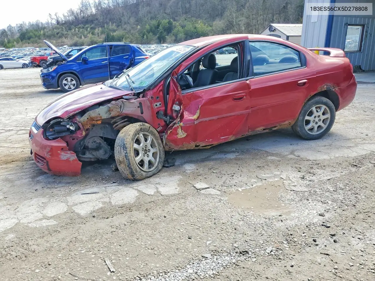 2005 Dodge Neon VIN: 1B3ES56CX5D278808 Lot: 46852296