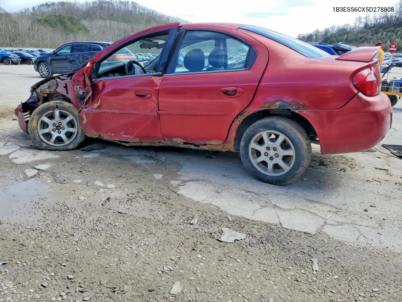 2005 Dodge Neon VIN: 1B3ES56CX5D278808 Lot: 46852296