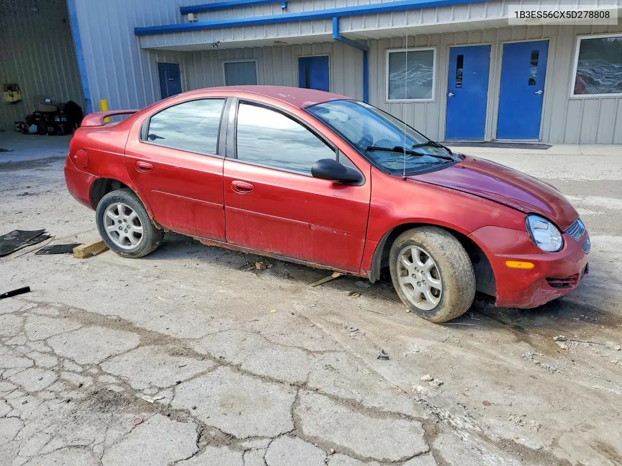 2005 Dodge Neon VIN: 1B3ES56CX5D278808 Lot: 46852296
