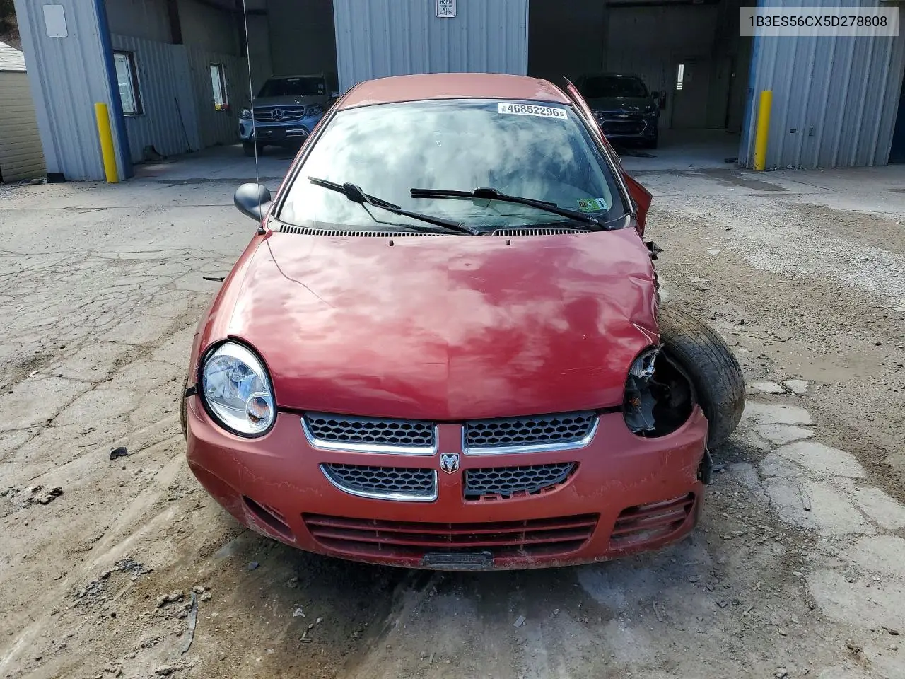2005 Dodge Neon VIN: 1B3ES56CX5D278808 Lot: 46852296