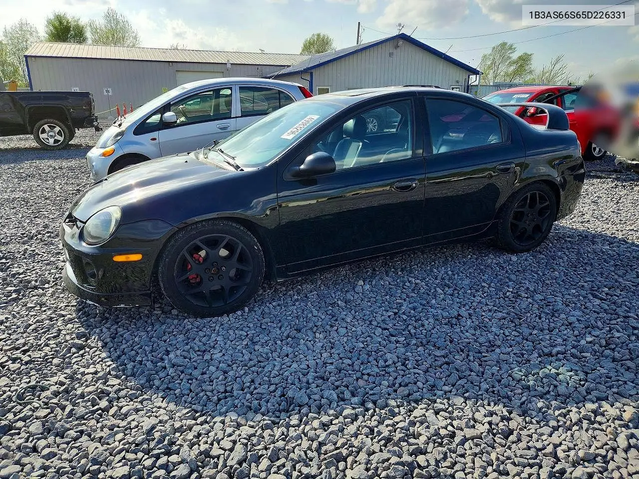 2005 Dodge Neon Srt-4 VIN: 1B3AS66S65D226331 Lot: 49983296