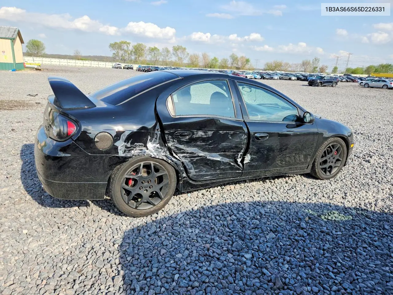 2005 Dodge Neon Srt-4 VIN: 1B3AS66S65D226331 Lot: 49983296