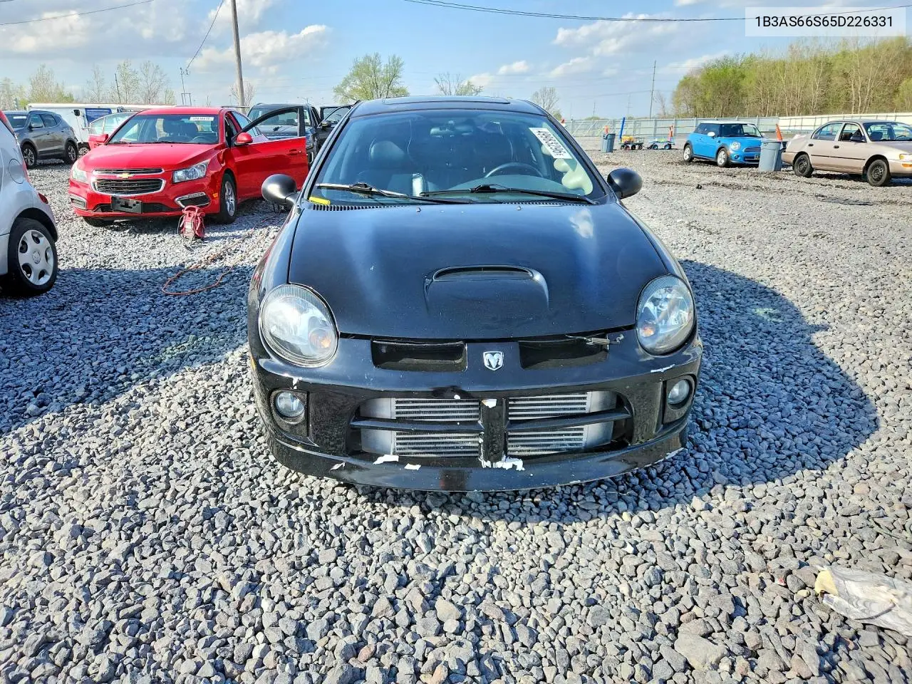 2005 Dodge Neon Srt-4 VIN: 1B3AS66S65D226331 Lot: 49983296