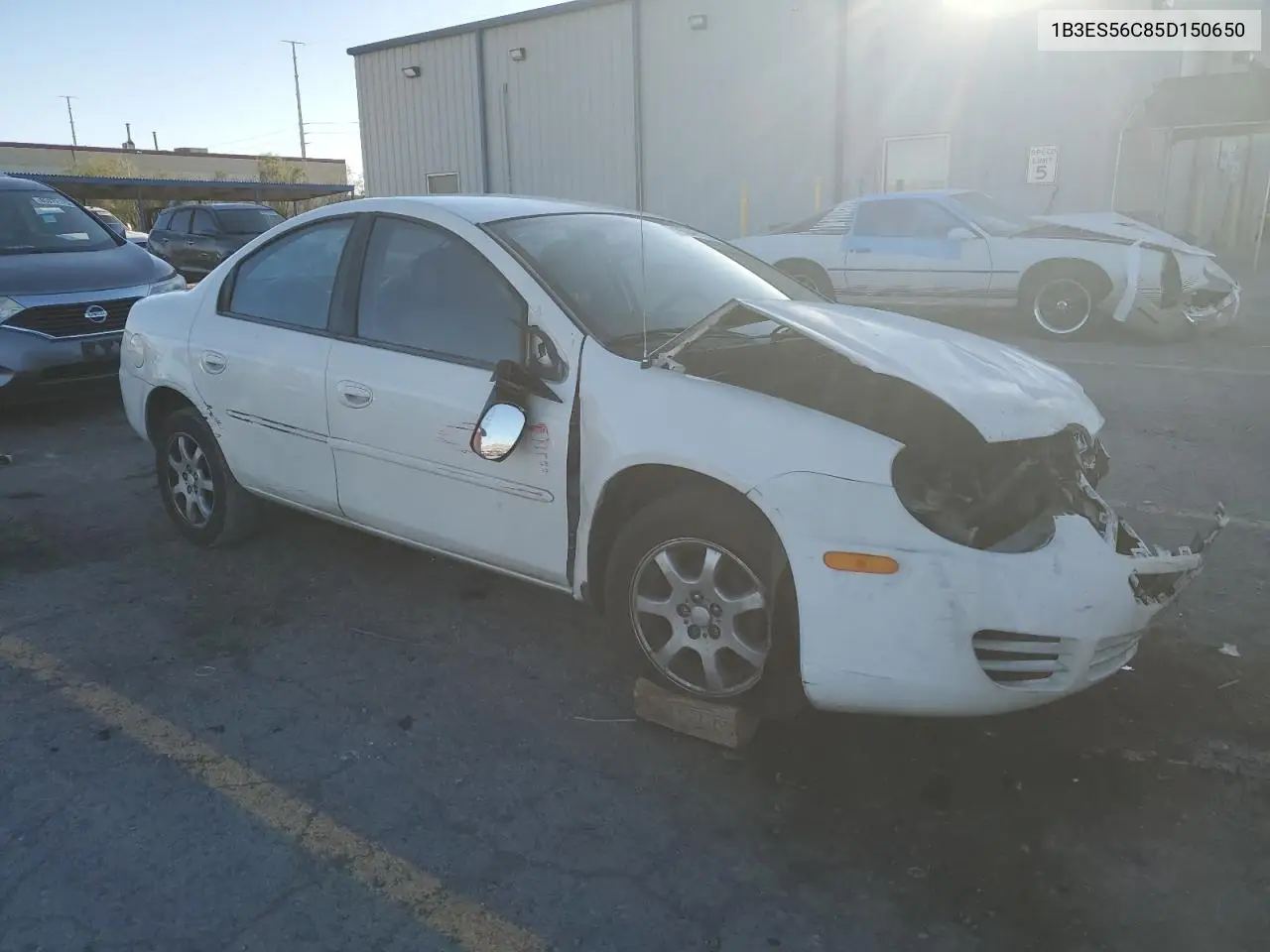 2005 Dodge Neon Sxt VIN: 1B3ES56C85D150650 Lot: 53443086