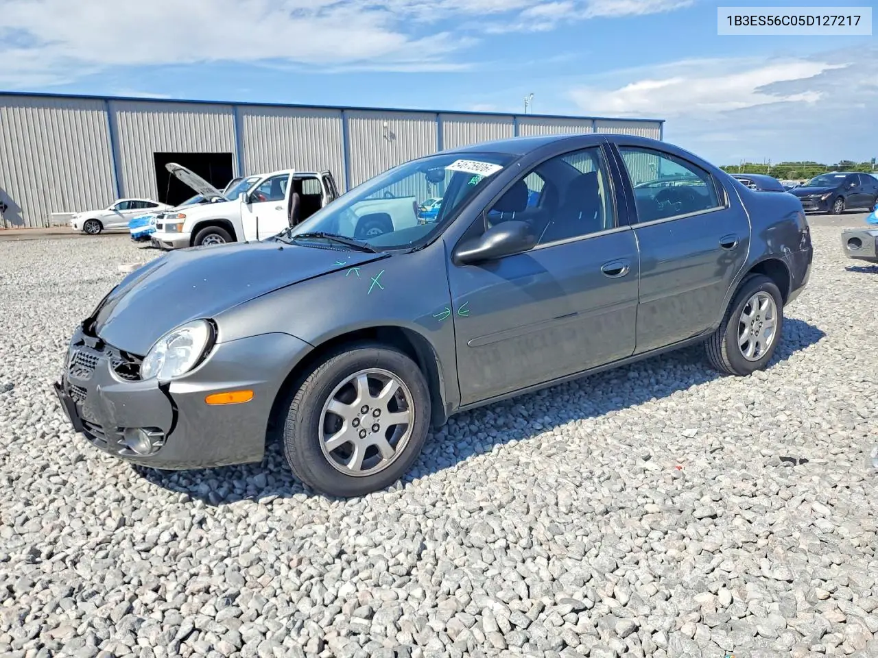 2005 Dodge Neon Sxt VIN: 1B3ES56C05D127217 Lot: 54675906