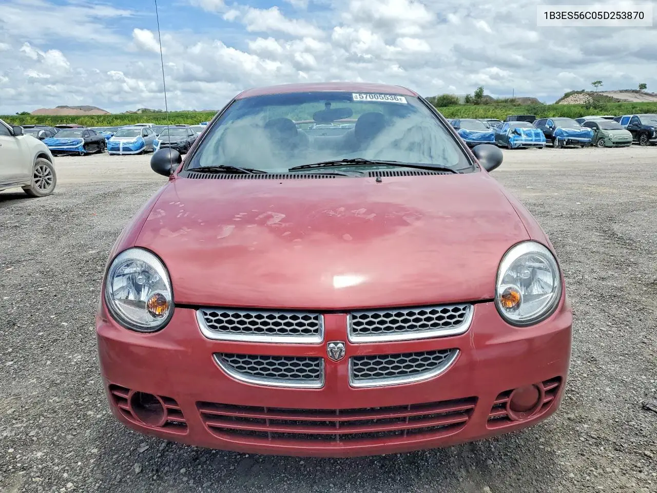 2005 Dodge Neon Sxt VIN: 1B3ES56C05D253870 Lot: 57005536