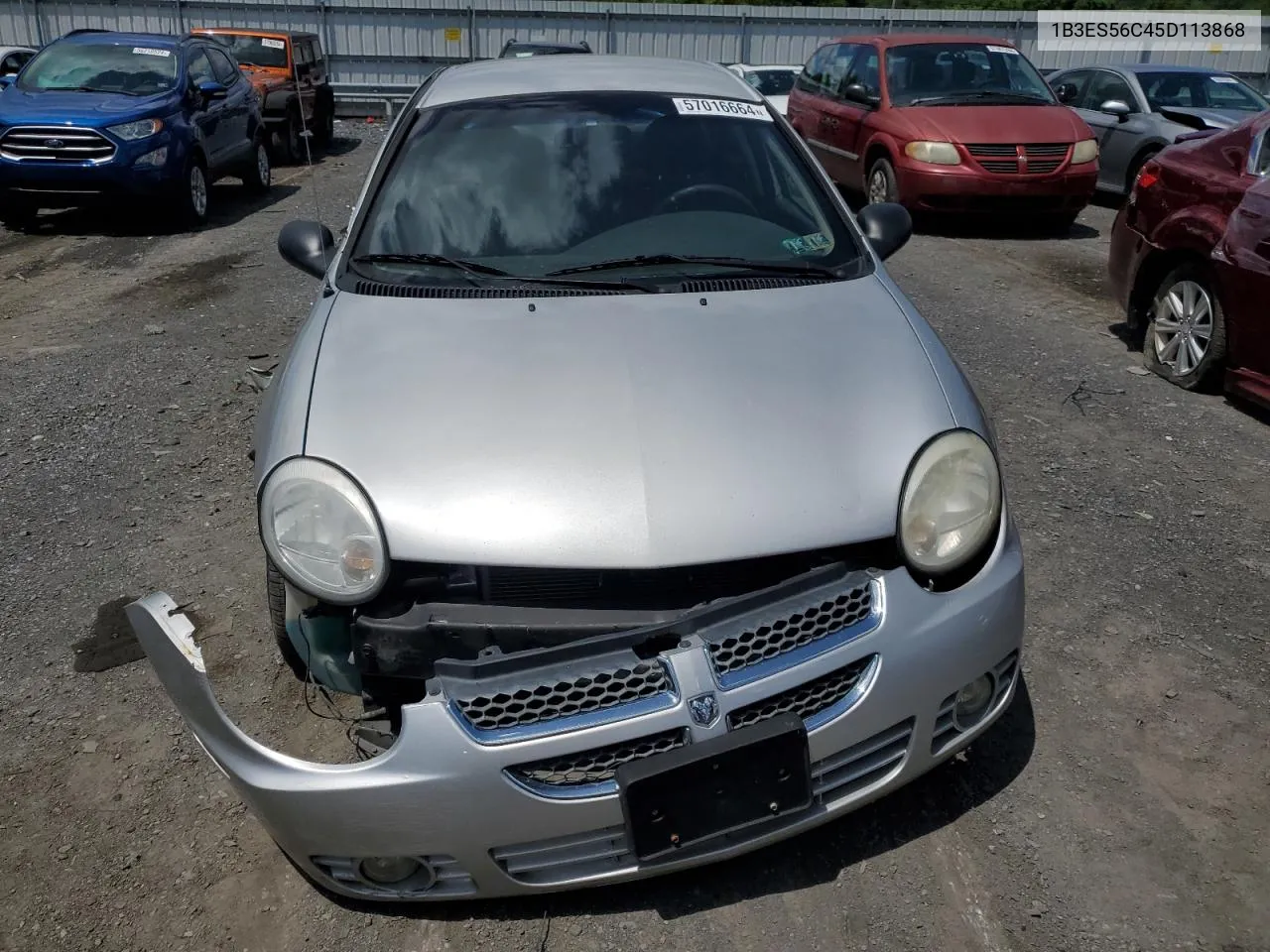 2005 Dodge Neon Sxt VIN: 1B3ES56C45D113868 Lot: 57016664