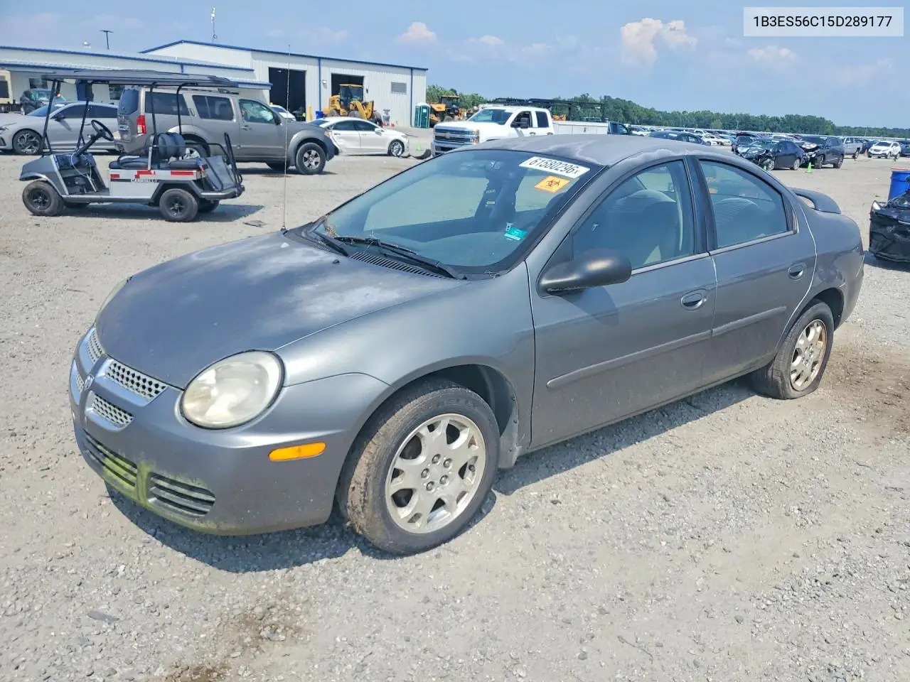 2005 Dodge Neon Sxt VIN: 1B3ES56C15D289177 Lot: 61580296