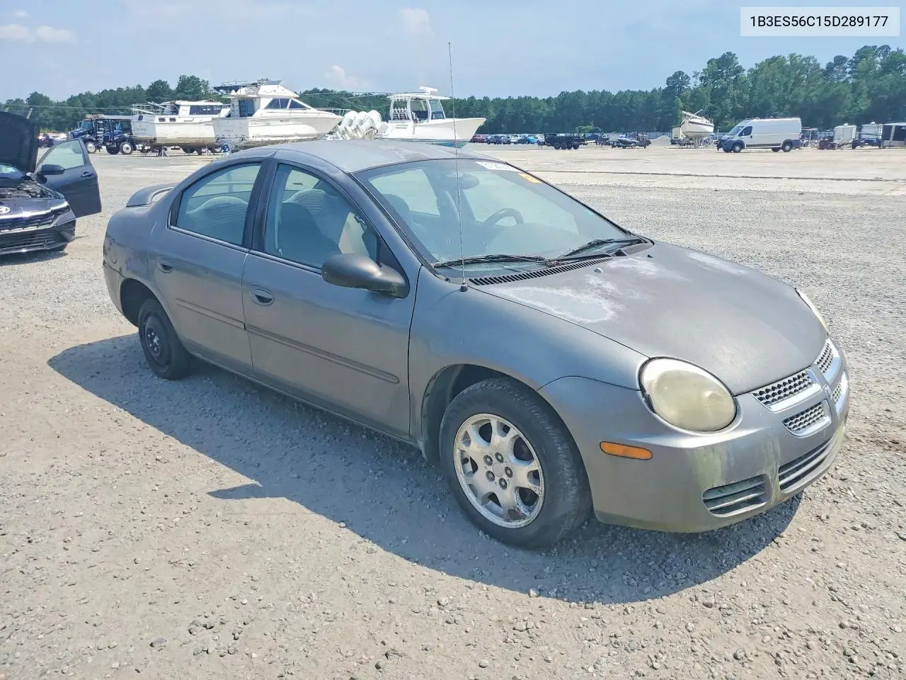 2005 Dodge Neon Sxt VIN: 1B3ES56C15D289177 Lot: 61580296