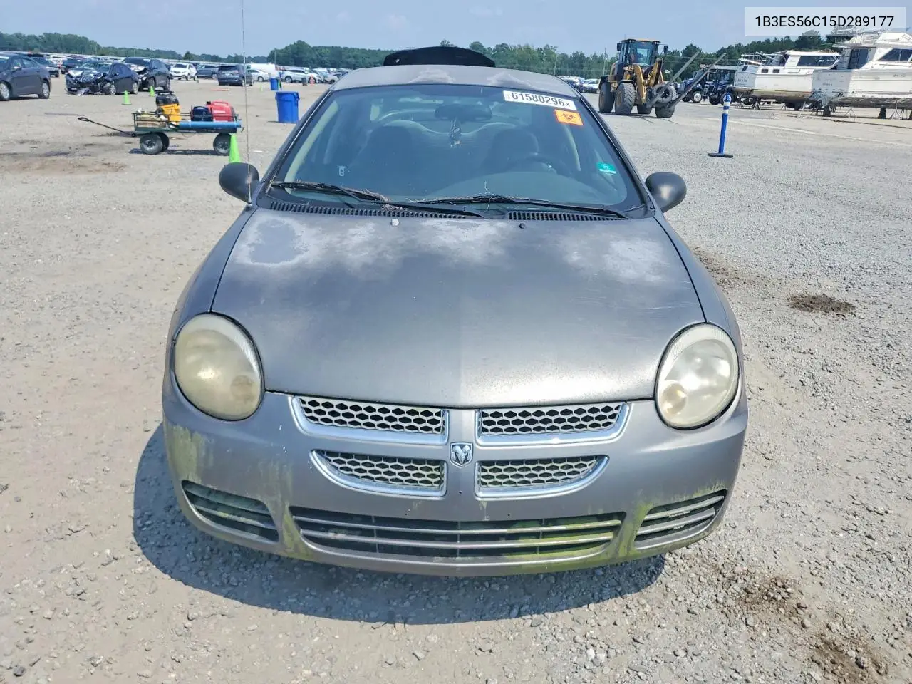 2005 Dodge Neon Sxt VIN: 1B3ES56C15D289177 Lot: 61580296