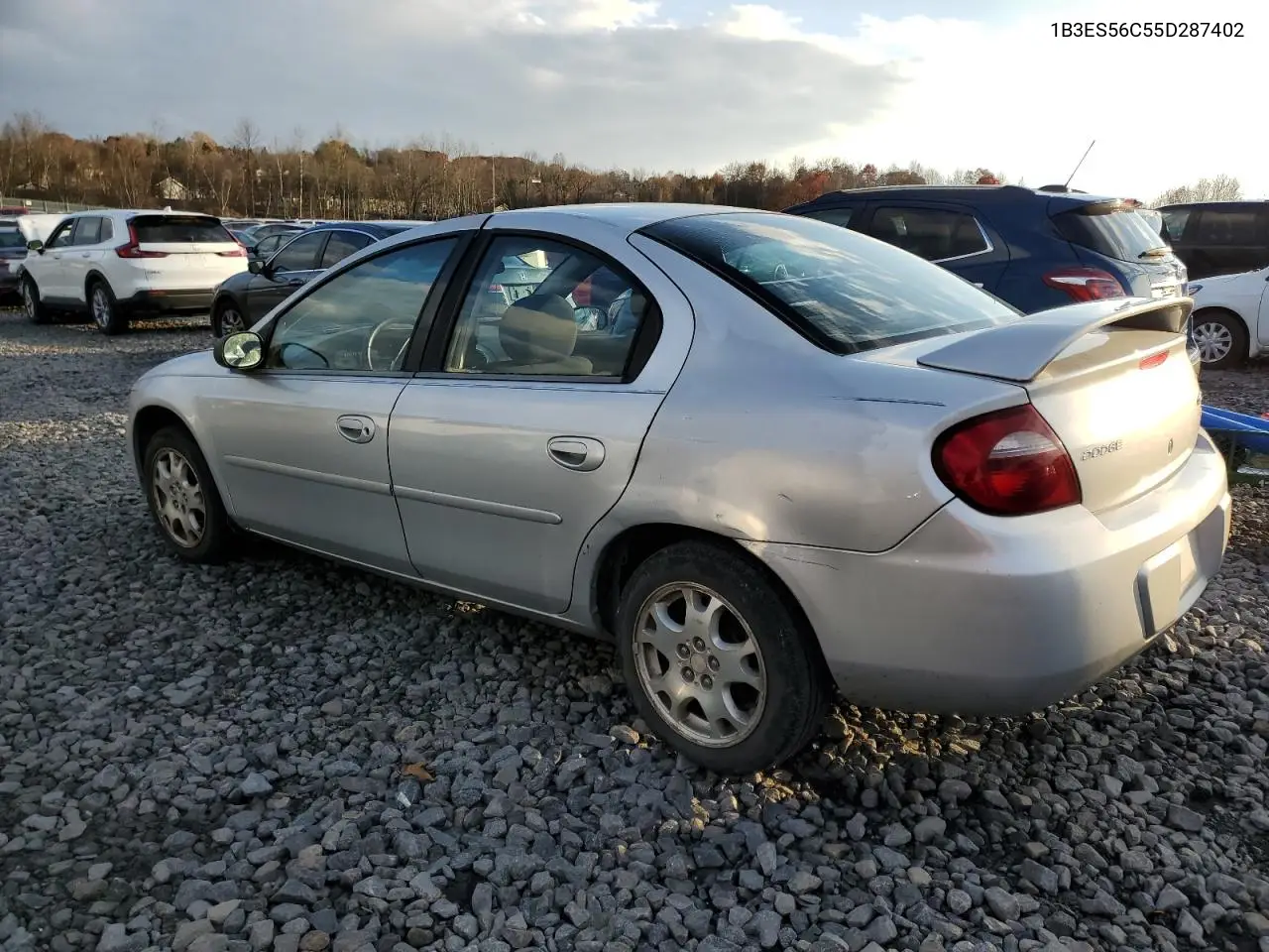2005 Dodge Neon Sxt VIN: 1B3ES56C55D287402 Lot: 91000935