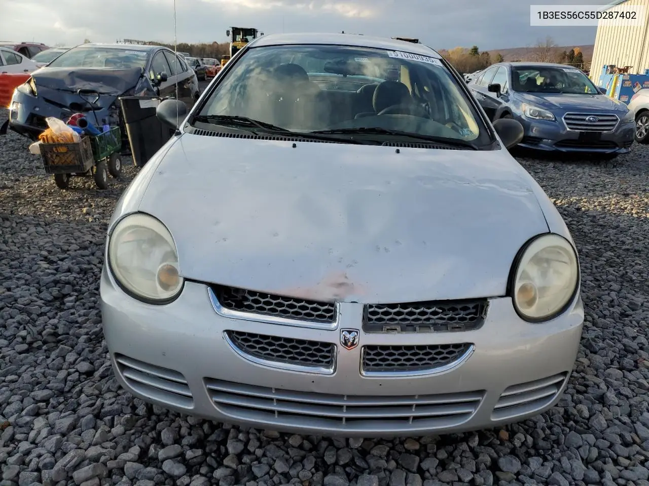 2005 Dodge Neon Sxt VIN: 1B3ES56C55D287402 Lot: 91000935