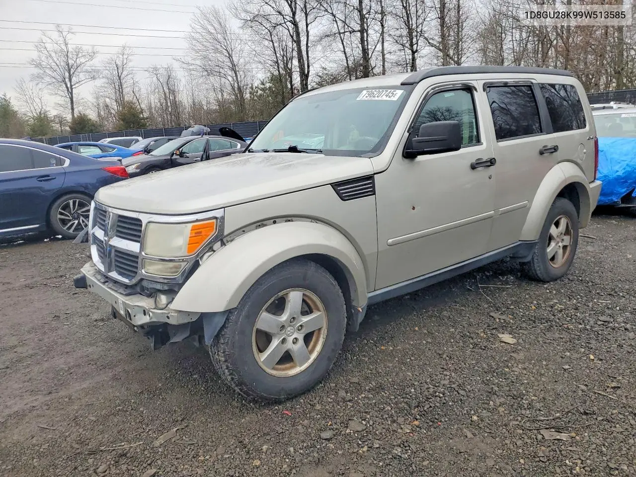 2009 Dodge Nitro Se VIN: 1D8GU28K99W513585 Lot: 79620745
