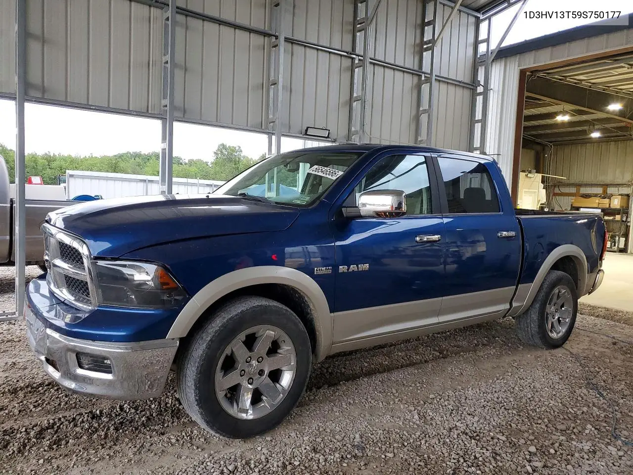 2009 Dodge Ram 1500 VIN: 1D3HV13T59S750177 Lot: 56546586