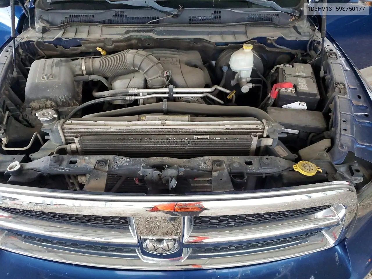 2009 Dodge Ram 1500 VIN: 1D3HV13T59S750177 Lot: 56546586