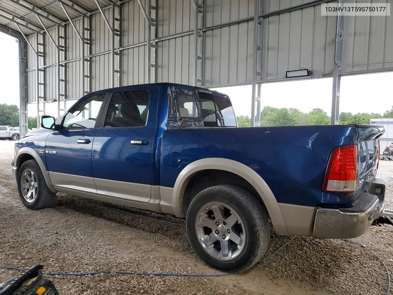 2009 Dodge Ram 1500 VIN: 1D3HV13T59S750177 Lot: 56546586