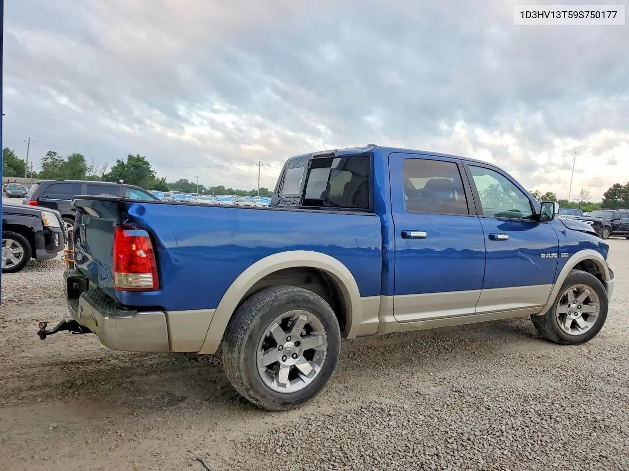 2009 Dodge Ram 1500 VIN: 1D3HV13T59S750177 Lot: 56546586