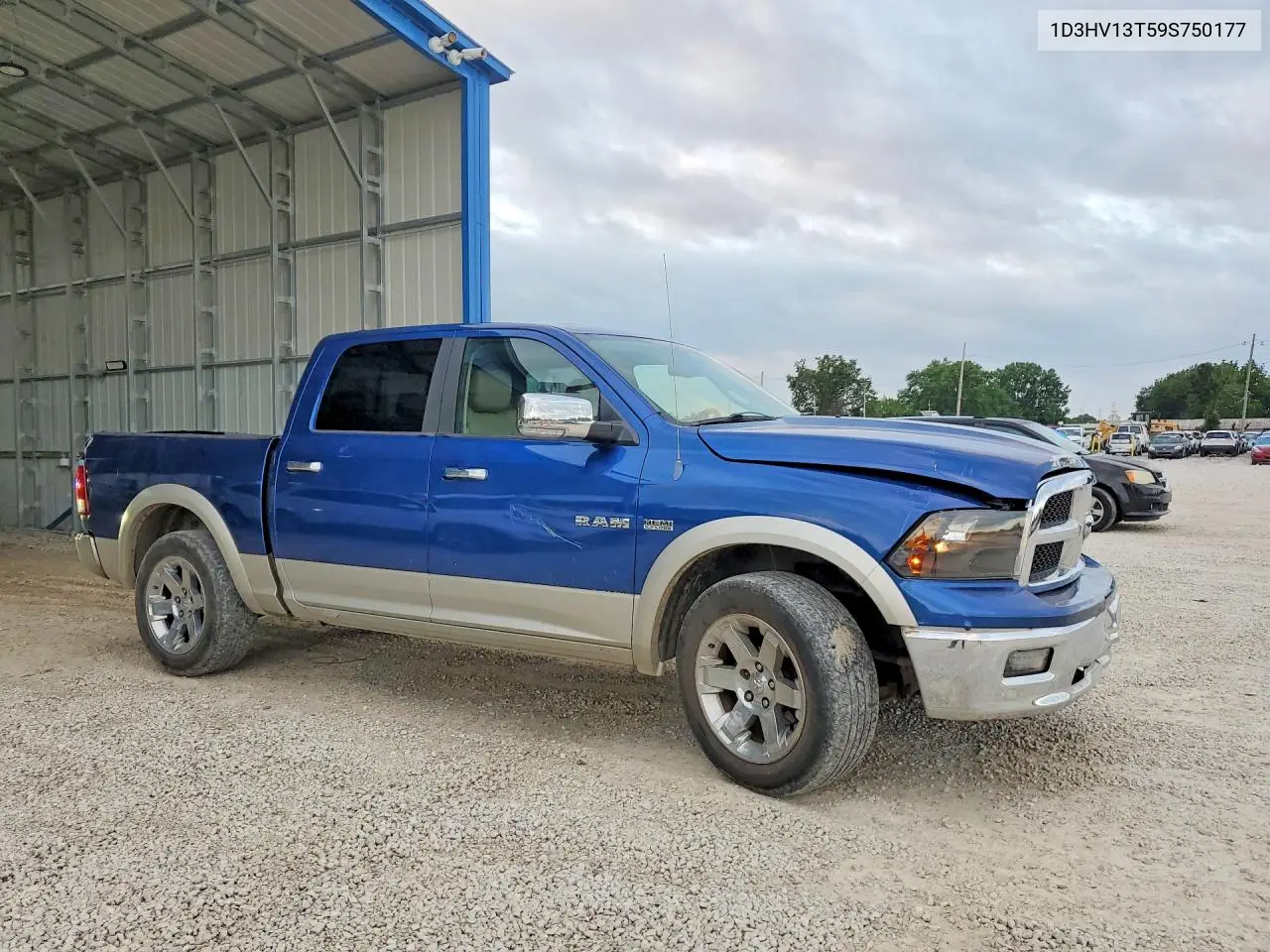 2009 Dodge Ram 1500 VIN: 1D3HV13T59S750177 Lot: 56546586