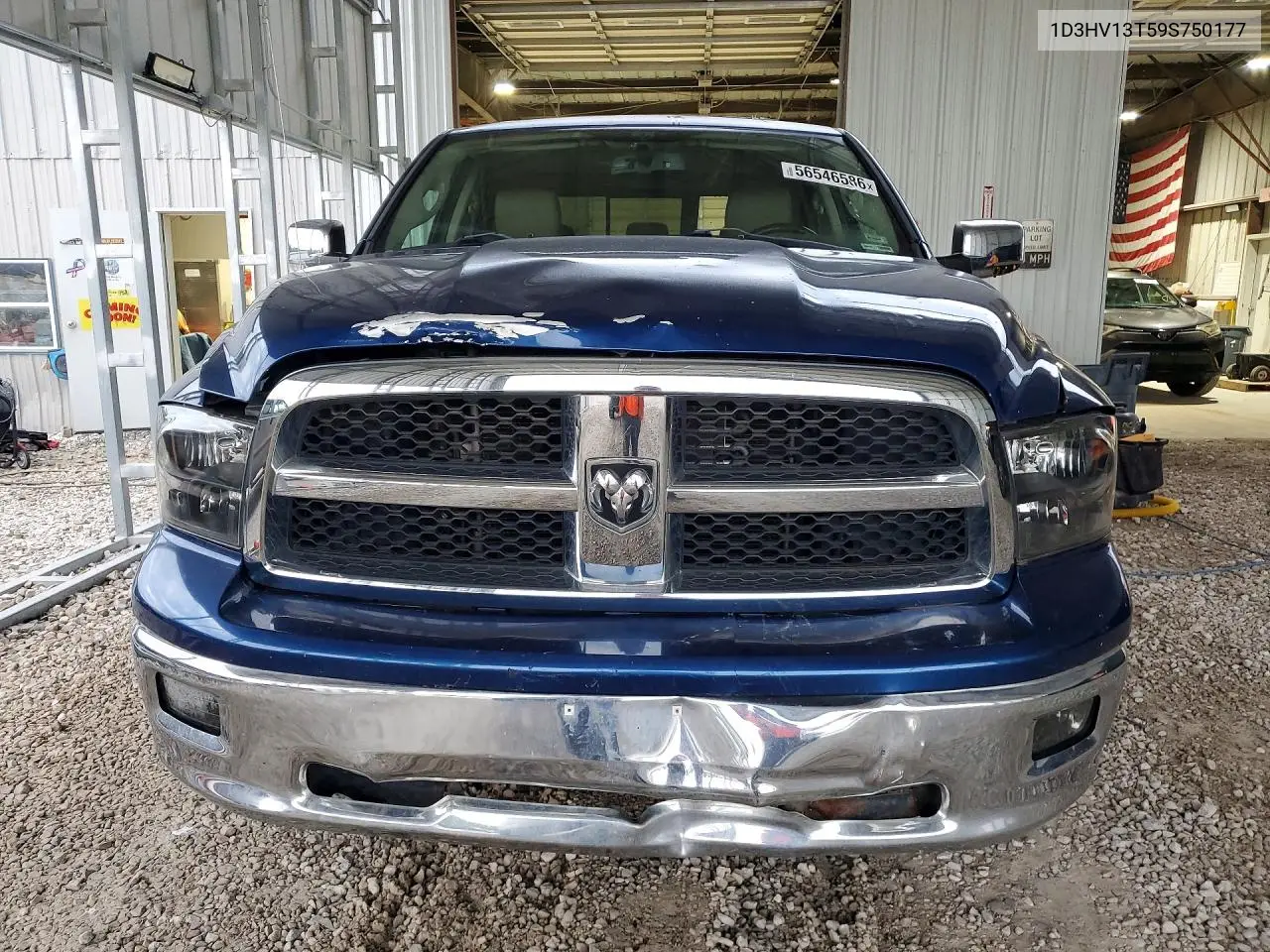 2009 Dodge Ram 1500 VIN: 1D3HV13T59S750177 Lot: 56546586