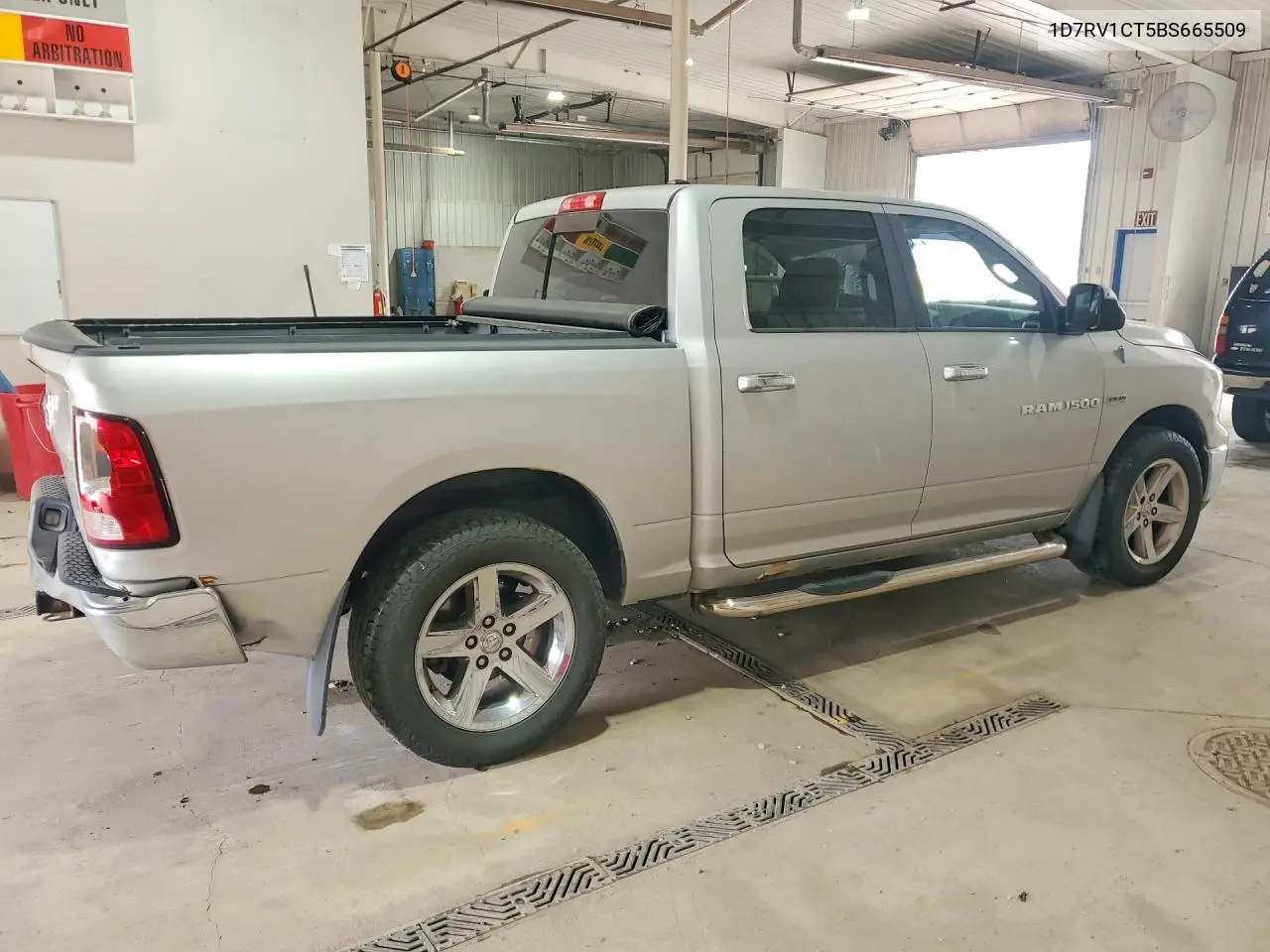 2011 Dodge Ram 1500 VIN: 1D7RV1CT5BS665509 Lot: 61004656