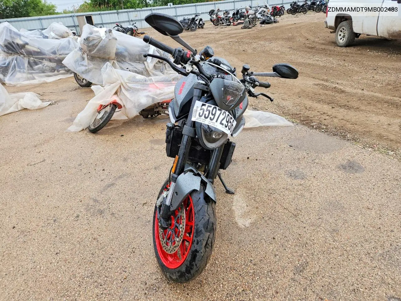 2021 Ducati Monster VIN: ZDMMAMDT9MB002483 Lot: 55972956