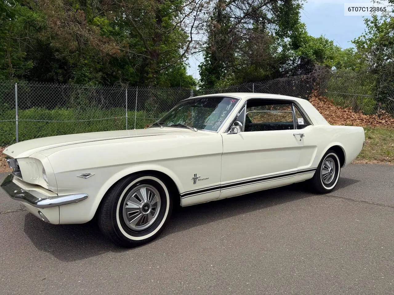 1966 Ford Mustang VIN: 6T07C123865 Lot: 55461876