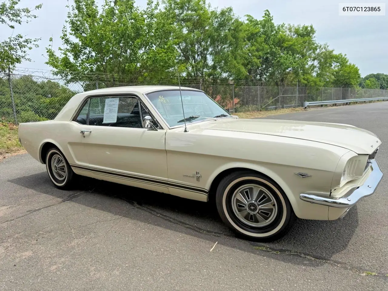 1966 Ford Mustang VIN: 6T07C123865 Lot: 55461876